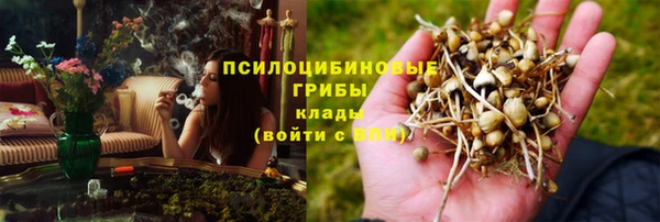 ПСИЛОЦИБИНОВЫЕ ГРИБЫ Киренск